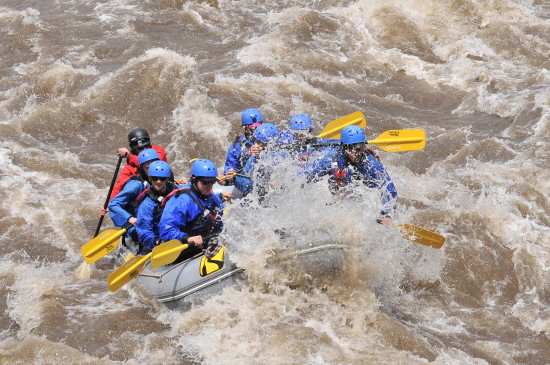 Arkansas River Rafting Trips