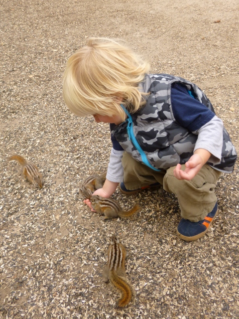 Child feeding chipmunk in St. Elmo, Colorado. 