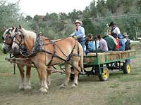 Banderas Bunkhouse Wagon Ride