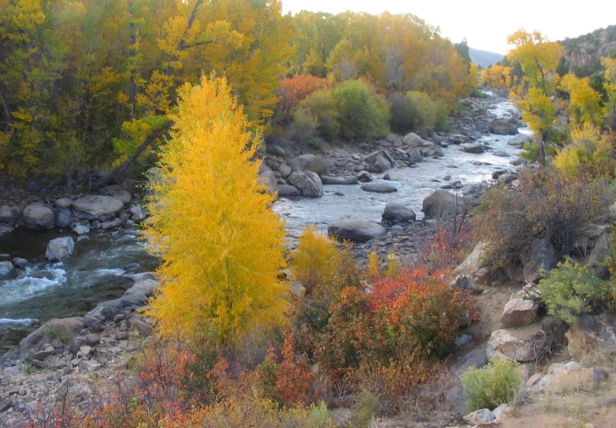 Colorado whitewater raftingq